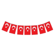 Buket BKT 304 Orta İpli TürkBayrağı 40 Ad 10'lu Buket BKT 304 Orta İpli TürkBayrağı 40 Ad 10'lu