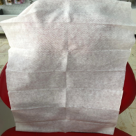 Tek Kullanımlık Makyaj Önlüğü80Li