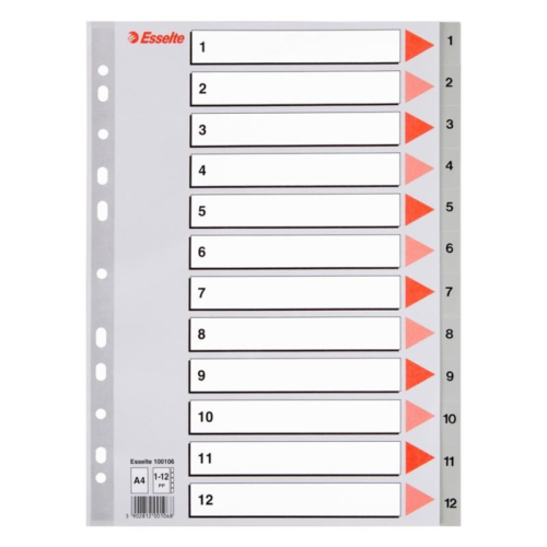 Esselte 100107 Plastik Seperatör A4 1-20 Rakam