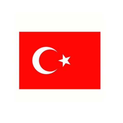 Türk Bayrağı 70X105 Kumaş